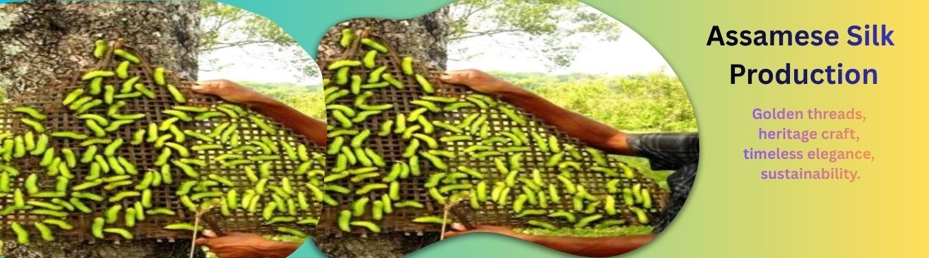 SILK PRODUCTION IN LAKHIMPUR