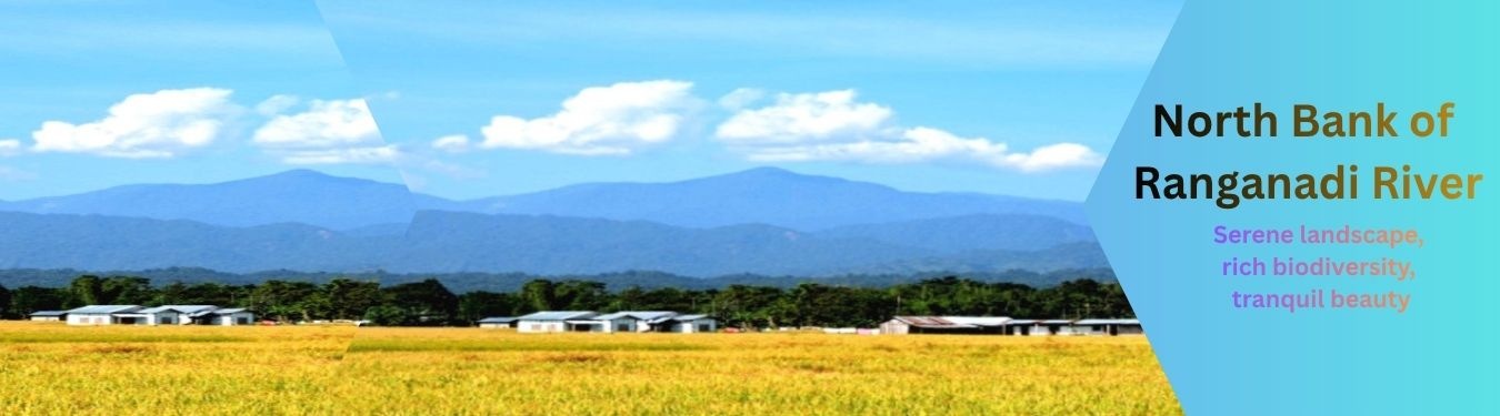 Ranganadi valley